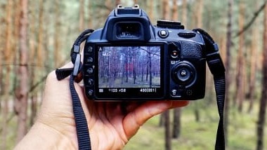 AYR Photos