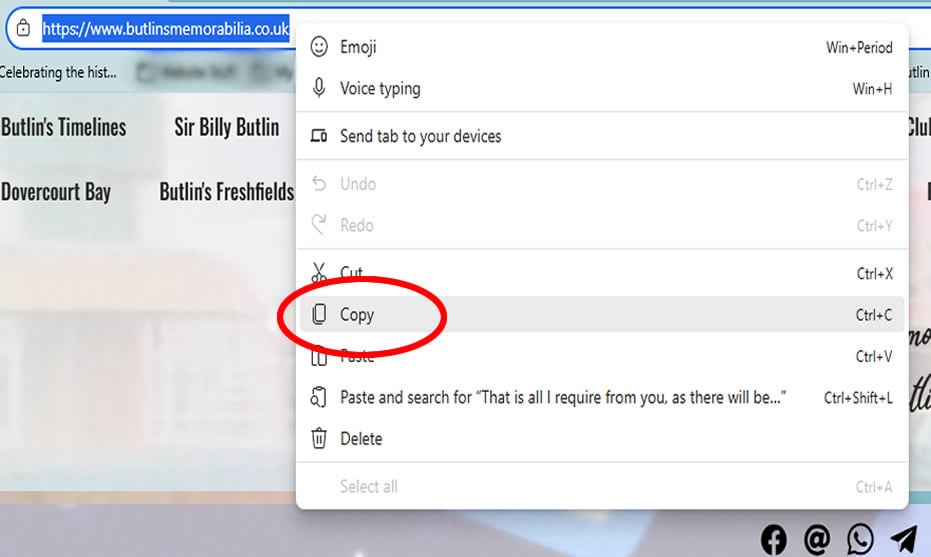 Butlins Memorabilia Website